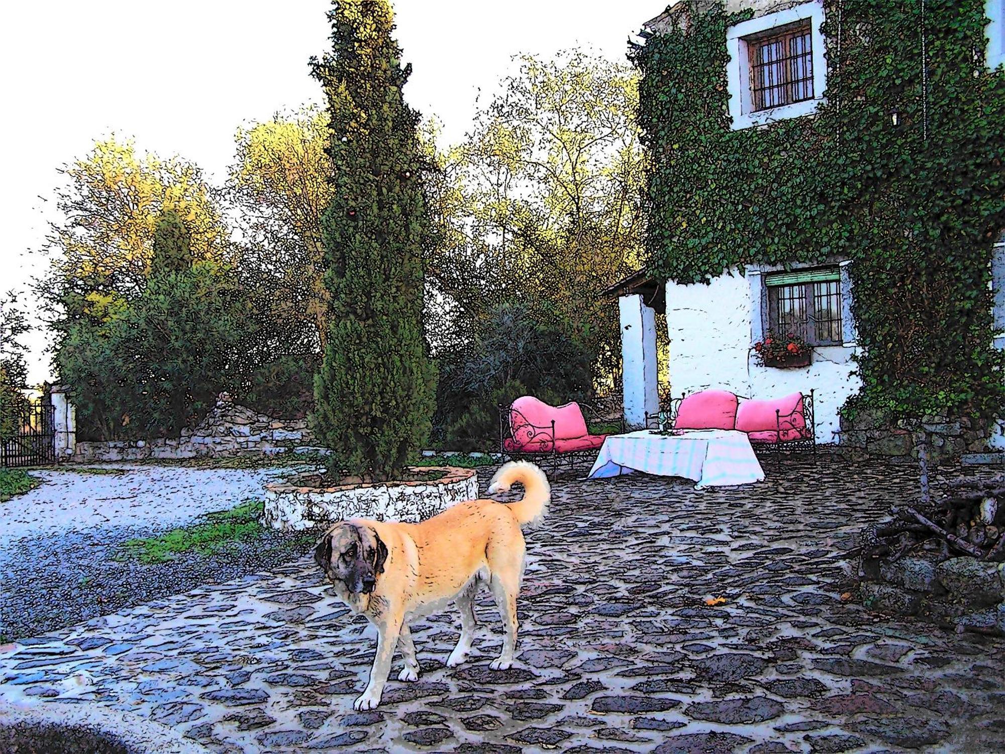 Casa Rural Cortijo Del Zoco Bajo Pozoblanco Eksteriør bilde